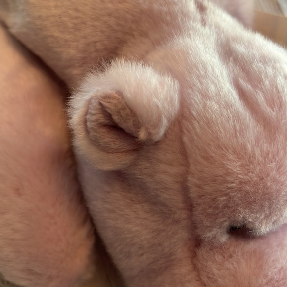 ⭐️⭐️HP!⭐️⭐️ NWT Ty Beanie Buddy Happy the Hippo. Circa 2000. Approx 15.5” long. - Picture 8 of 12